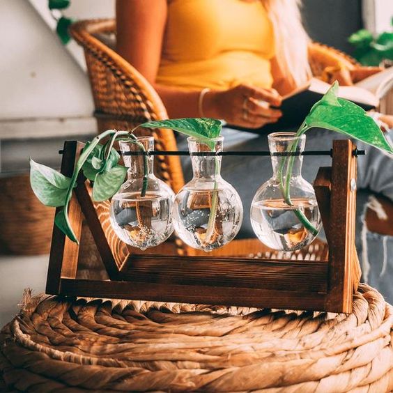 Support de propagation – Charme naturel et design élégant