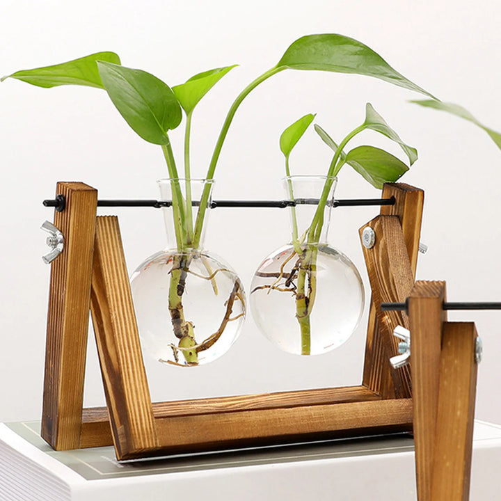 Support de propagation – Charme naturel et design élégant