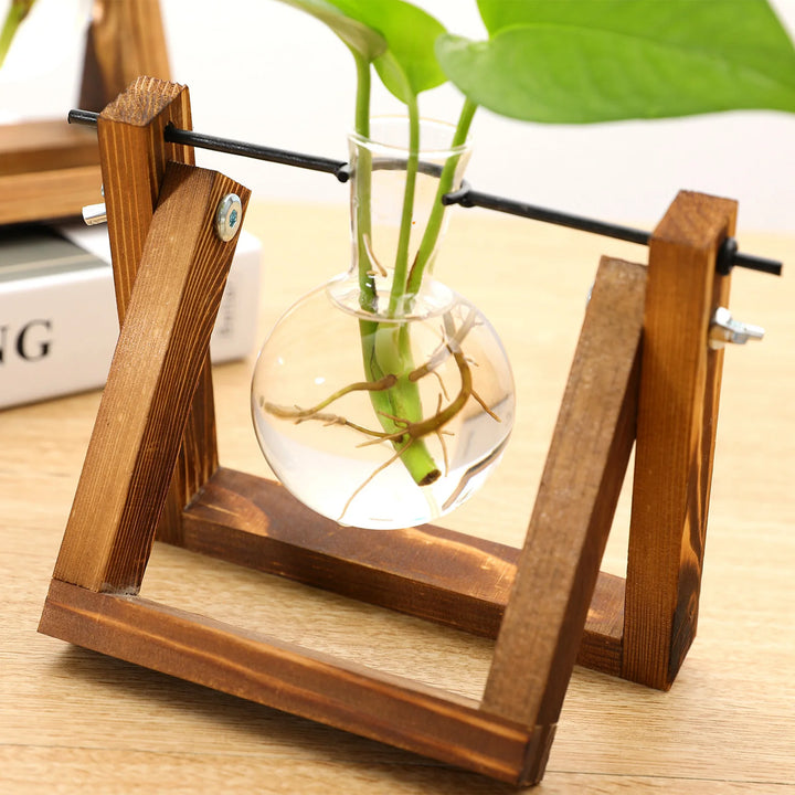 Support de propagation – Charme naturel et design élégant