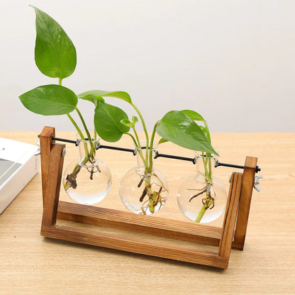 Support de propagation – Charme naturel et design élégant