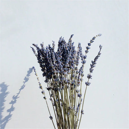 Bouquet de lavande séchée – Apaisante et décorative
