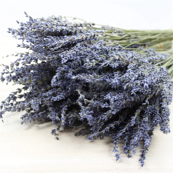 Bouquet de lavande séchée – Apaisante et décorative