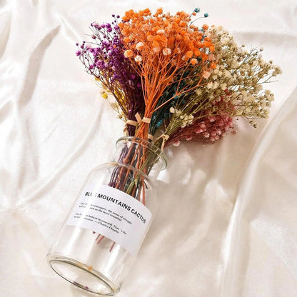 Gypsophile séchée – Élégance florale intemporelle