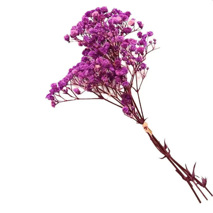 Gypsophile séchée – Élégance florale intemporelle
