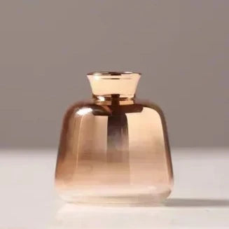 Vase dégradé – Raffinement en transparence