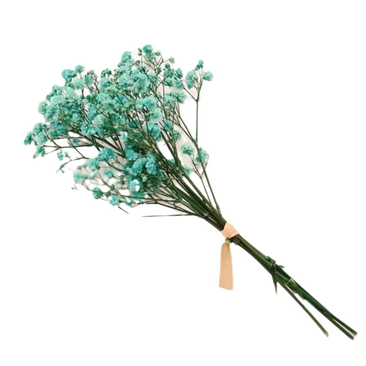 Gypsophile séchée – Élégance florale intemporelle