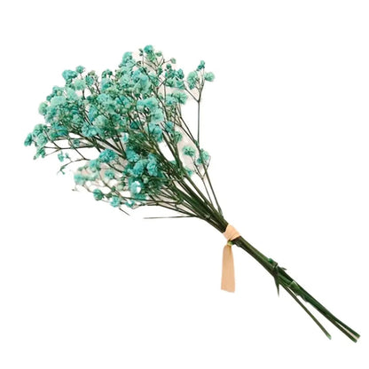 Gypsophile séchée – Élégance florale intemporelle