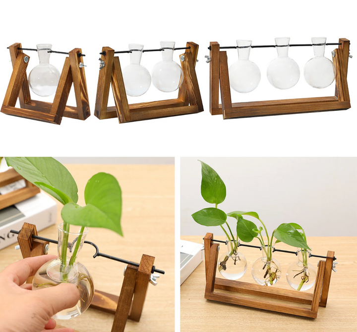 Support de propagation – Charme naturel et design élégant