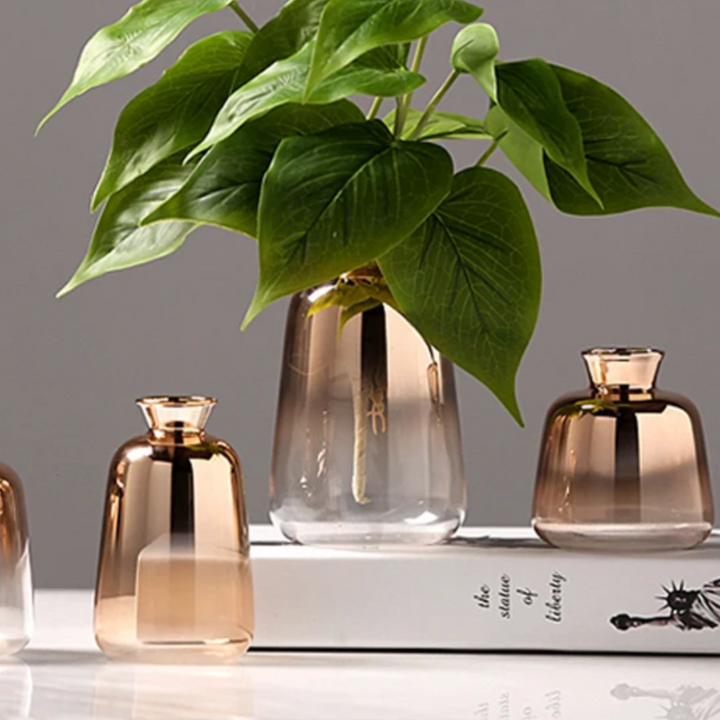 Vase dégradé – Raffinement en transparence