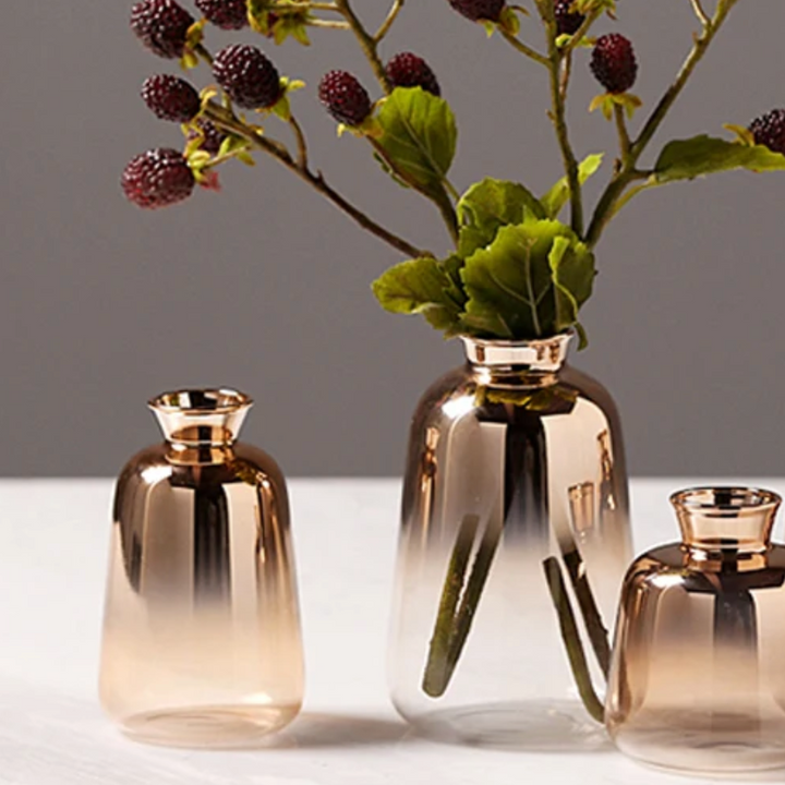 Vase dégradé – Raffinement en transparence