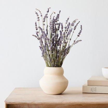 Bouquet de lavande séchée – Apaisante et décorative
