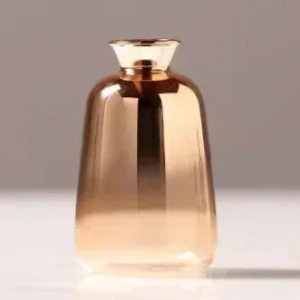 Vase dégradé – Raffinement en transparence