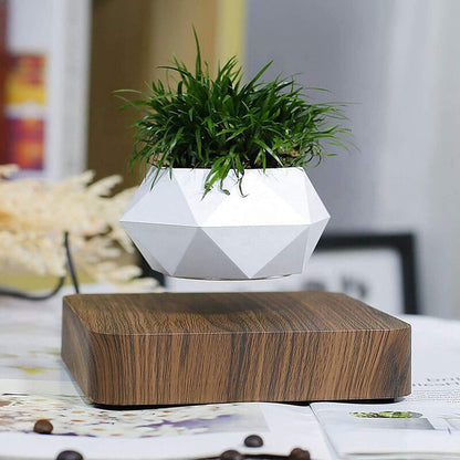 Pot de fleurs en lévitation